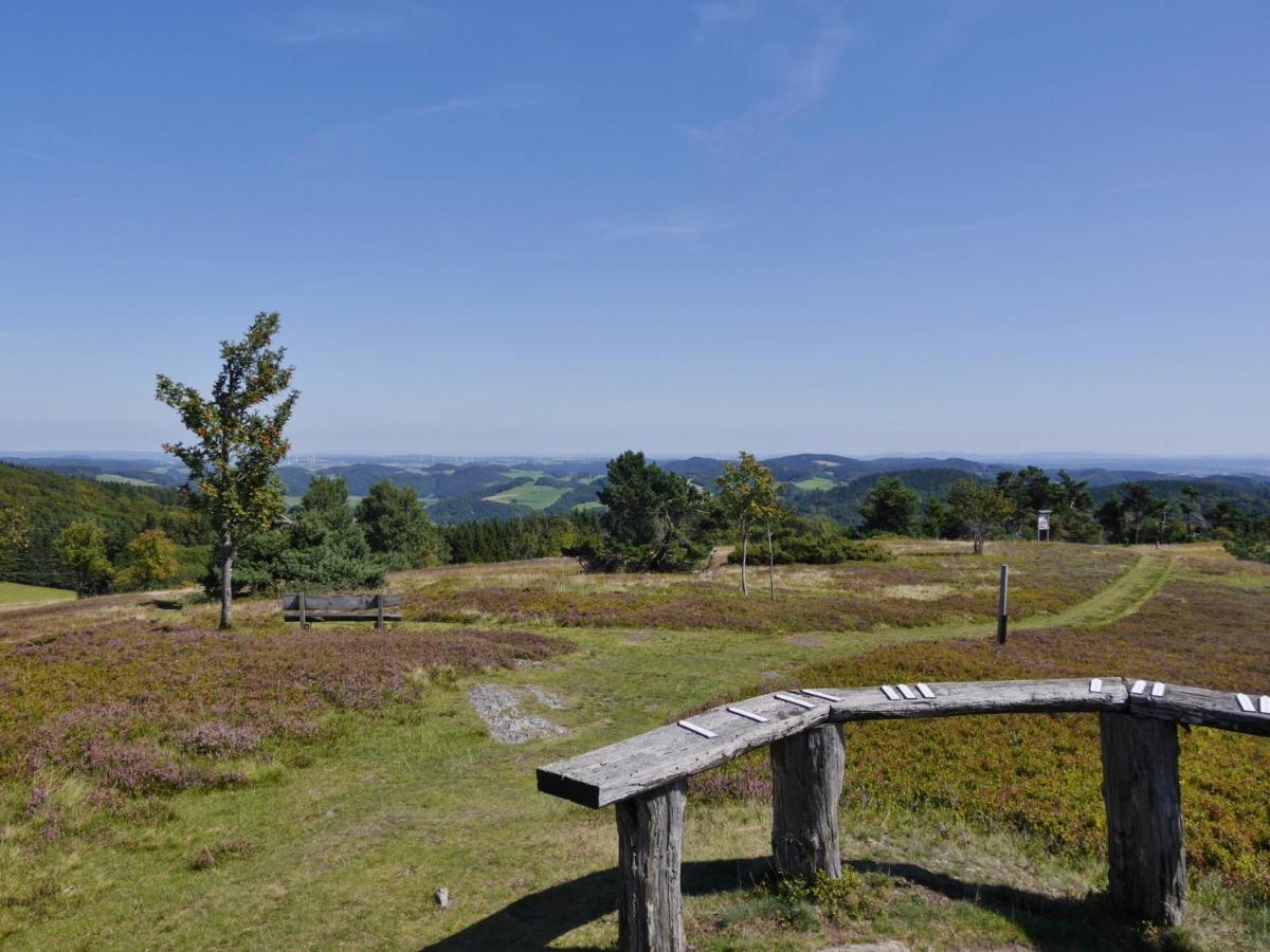 Fewo Blumes Bergfrieden Mit Meinecardplus Willingen (Upland) Exterior foto