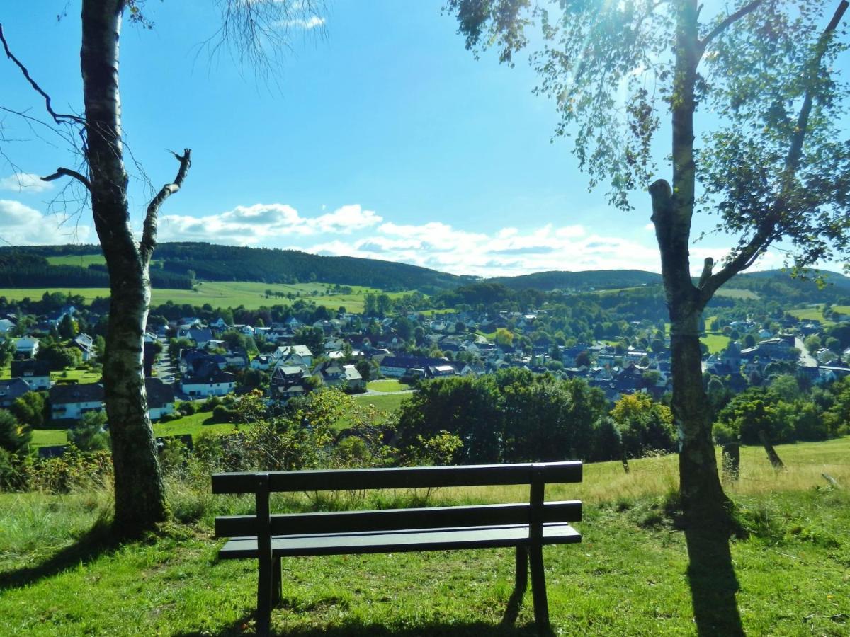 Fewo Blumes Bergfrieden Mit Meinecardplus Willingen (Upland) Exterior foto