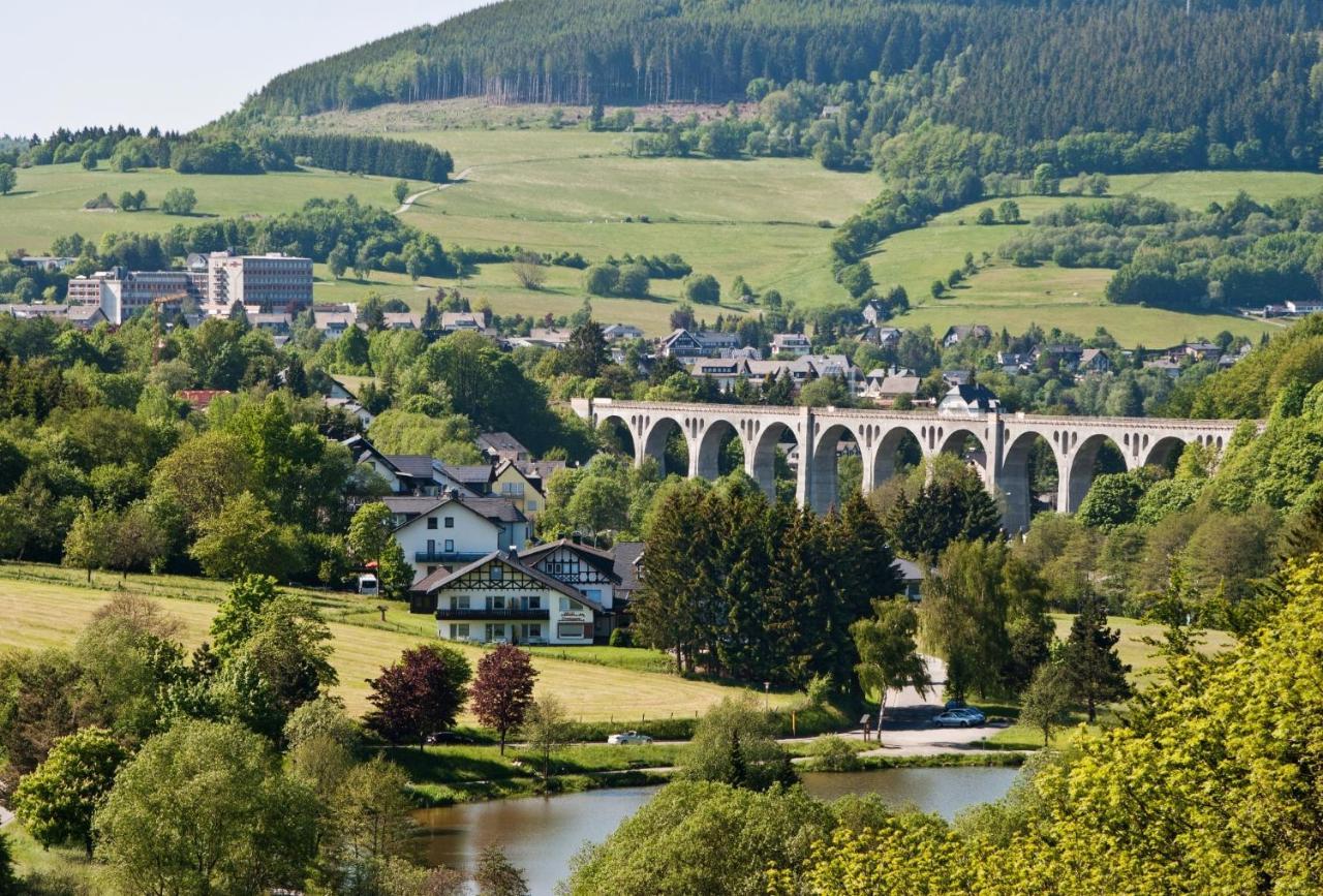 Fewo Blumes Bergfrieden Mit Meinecardplus Willingen (Upland) Exterior foto