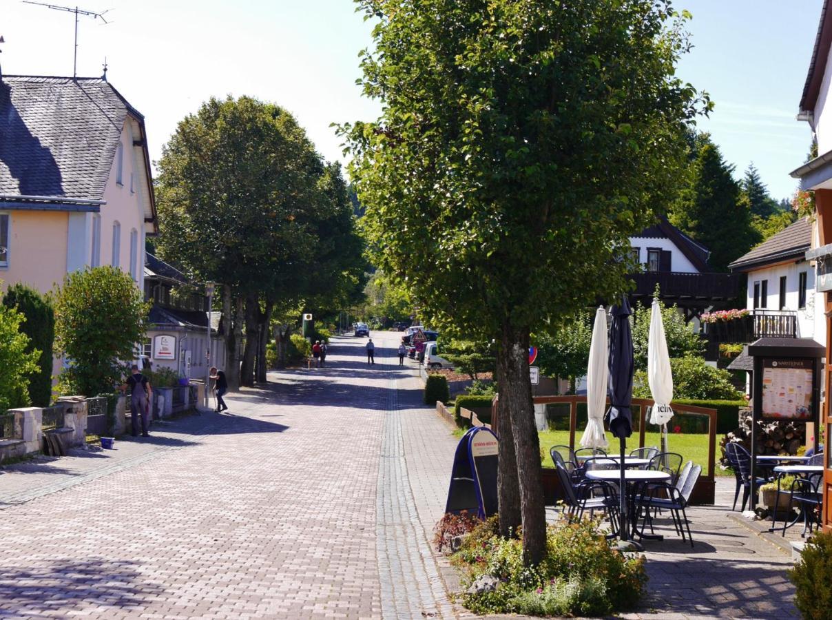 Fewo Blumes Bergfrieden Mit Meinecardplus Willingen (Upland) Exterior foto