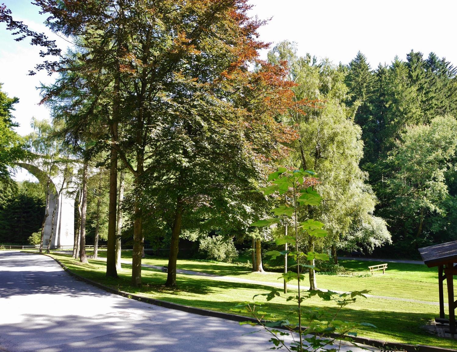 Fewo Blumes Bergfrieden Mit Meinecardplus Willingen (Upland) Exterior foto